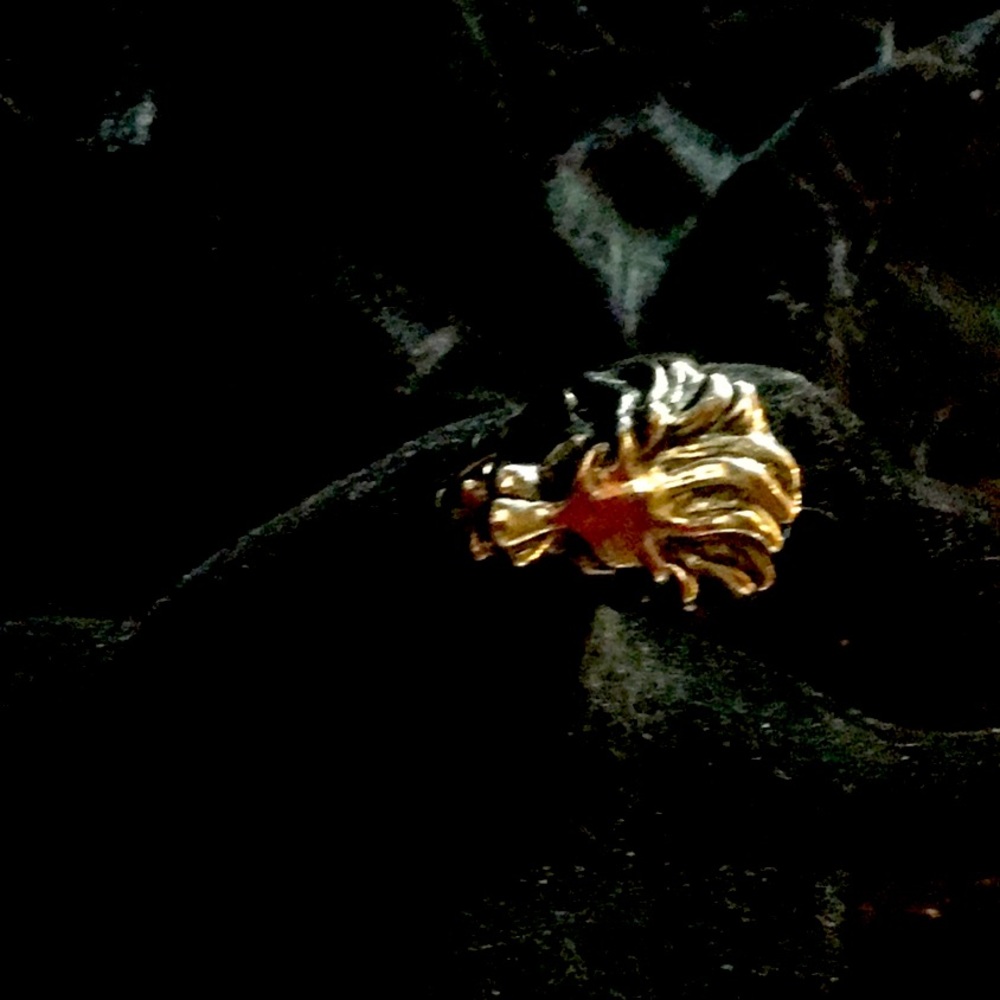 Beautiful, masculine “King of the Jungle” ring.